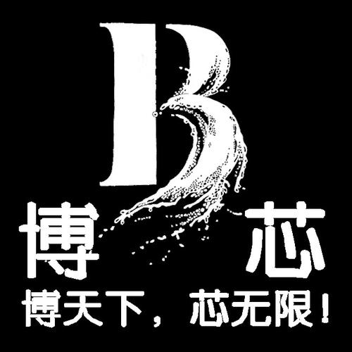 洞察科技脈搏，賦能企業未來——山東博芯信息科技信息咨詢服務解析